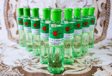 Bukan Obat Mahal, Namun Cukup Gunakan MInyak Kayu Putih untuk Hilangkan Penyakit Kulit pada Kucing