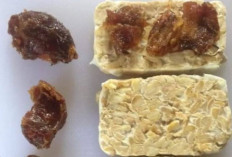 Asal Tahu Aturan Makannya, Ternyata Konsumsi Tempe Mentah Bisa Jadi Obat Maag Terbaik