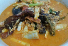 Unik! Sensasi Kelezatan Gulai Umbut Rotan Khas Bengkulu, Ada Cita Rasa Pahit dan Manisnya