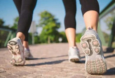 Mau Coba Hilangkan Lemak di Perut, Mungkin Kamu Harus Rutinkan Berjalan Kaki 