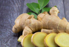 Tanpa Efek Samping, Ini 5 Pilihan Obat Alami untuk Atasi Asam Urat