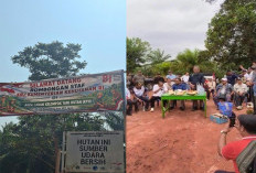 Staf Ahli Kemenhut RI Turun, Habitat Gajah di BAS Dalam Pusaran Usulan Skema PS