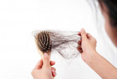 Jangan Biarkan Rambut Anda Habis Karena Rontok, Temukan Obat Alami Ampuh dan Cara yang Harus Dilakukan 