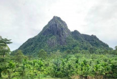 Mental Tempe Jangan Coba Uji Nyali ke Gunung Bungkuk di Bengkulu, Ini Sosok Mistis Penunggunya