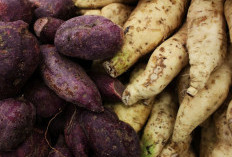 Cuma Modal Air Es dan Minyak, Kamu Bisa Membuat Ubi Goreng yang Lumer