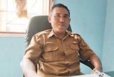 Harga Sawit Anjlok, Roda Perdagangan Mukomuko Mulai Terasa Melambat