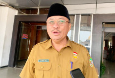 Inpres Pulau Baai Berakhir, Pusat Diminta Perpanjang dan Perluas 