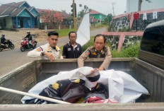  Jelang Penilaian Adipura, Satpol PP 'Sikat' Reklame Liar