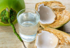 Selain Air Putih, Ini Beragam Minuman untuk Mengatasi Dehidrasi