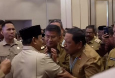 Salaman Dengan Presiden Prabowo, Wagub Mi’an Aspirasikan Kelanjutan TOL Bengkulu-Lubuk Linggau