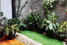 Tips Memilih Dekorasi Rumah untuk Menjaga Kesehatan Mental Penghuninya