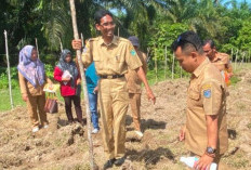 Juni Jadi Target Usulan Tahap II, Kecamatan Putri Hijau Pacu Desa Tuntaskan DD Tahap I