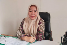 Dihantam Isu Beruntun, Disdikbud Mukomuko Tetap Fokus Layani Publik