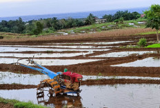 Peningkatan Sektor Pertanian, 8 Poktan Terima Dana Rp100Juta 