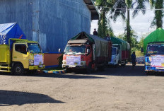 Distribusi Ratusan Ton Beras Bergerak ke 37.637 Penerima Manfaat