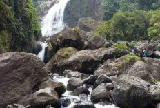 Sensasi Berpetualang di Air Terjun Ketenong Lebong, Kalau Beruntung Bisa Lihat Rafflesia Arnoldi
