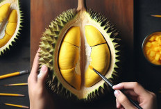 Jangan Salah, Begini Cara Jitu Memilih Durian yang Memiliki Buah Daging Buah Tebal dan Manis