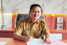 Petani Lubuk Pinang Cemas, Serangan Hama Tikus Ancam Padi Sawah