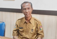 Pastikan Tidak Mengandung Residu Berbahaya, Pangan Segar Bakal Diuji