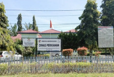 Pengadaan Perahu dan Jaring Lanjut, Mesin Tempel Tunggu APBD Perubahan