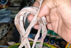 7 Kesaktian Tali Pocong yang Dipercaya Hingga Sekarang, Mulai dari Penglaris Hingga Pengasihan