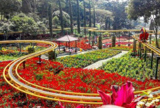 Yuk! Jelajahi 5 Taman Bunga Terindah di Bengkulu Ini, Lokasinya Sangat Instagramable