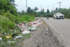 Sampah Menumpuk di Jalur Operasioanal Pelabuhan, Pelindo Ajak Warga Jaga Kebersihan