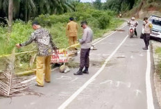 Pemprov Didesak Segera Tangani Jalan di Bukit Indah yang Terancam Putus