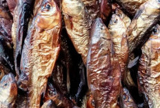 Maknyus! Begini Cara Memasak Gulai Ikan Salai Khas Bengkulu