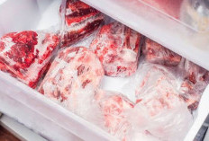 Berapa Lama Daging Kurban Bisa Tahan Disimpan dalam Freezer?