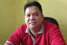 Asap Karhutla Mulai Dirasakan Masyarakat Bengkulu Utara, Waspadai Dampak Kesehatan