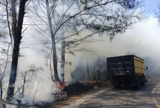 Karhutla Jadi Ancaman! Kapolsek Minta Warga maupun Korporasi Tidak Membakar Lahan