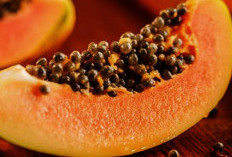 Wajib Coba Buat yang Berniat KB Alami dengan Konsumsi Biji Pepaya
