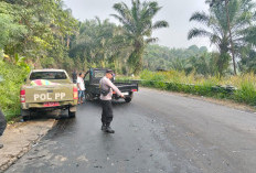 Laka Mobil Satpol PP Bengkulu Utara, Polsek PUT Ungkap Penumpang dan Kronologinya