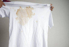 Tanpa Merusak Kain, Begini Cara Membersihkan Noda Getah Membandel di Baju