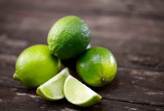 Manfaat Terapi Jeruk Nipis, Cocok untuk Diet hingga Menjaga kesehatan kulit