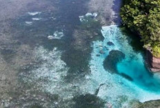 Telapak Kaki Batu Layar, Pantai Cantik dan Unik yang Memanjakan Mata di Enggano Bengkulu Utara