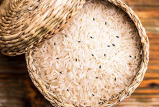 2 Jenis Dedaunan yang Ampuh Hilangkan Kutu di Beras yang Menggangu